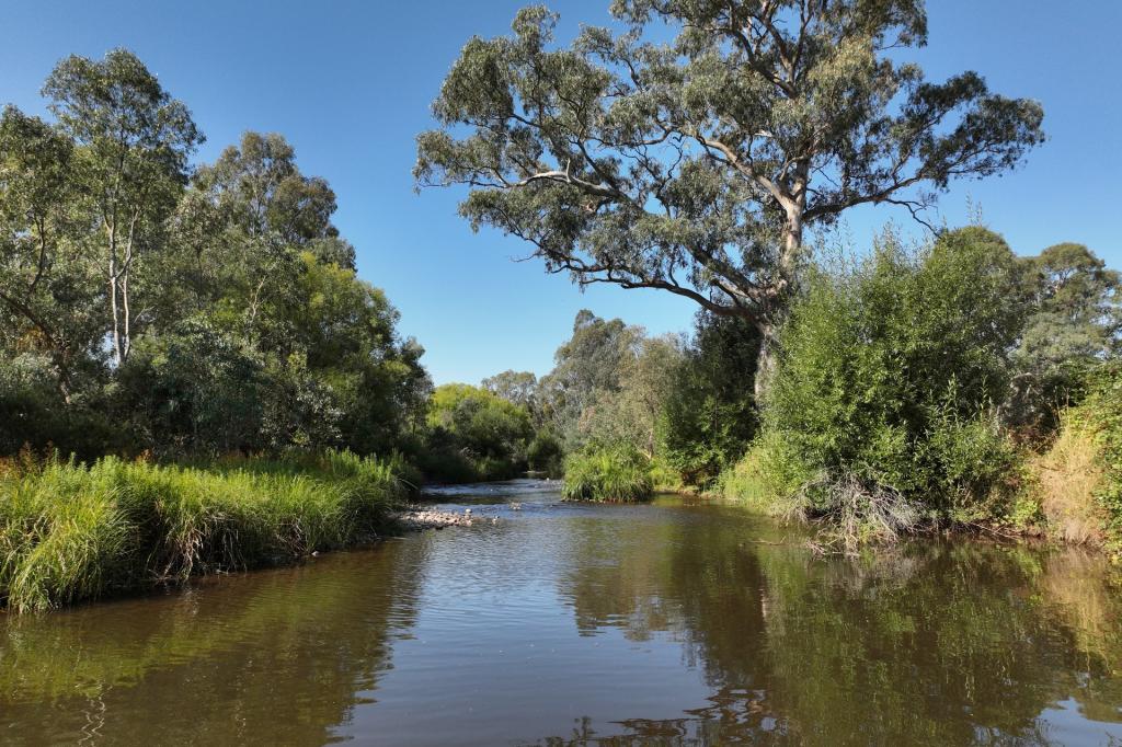 210 Walshs Rd, Goughs Bay, VIC 3723