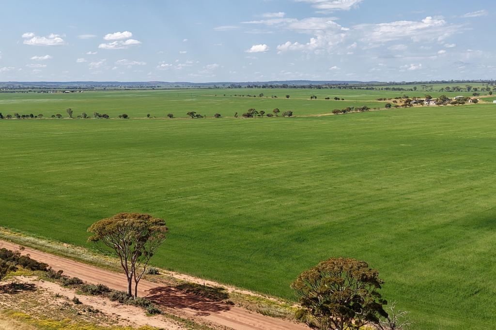 1759 NUNGARIN-WYALKATCHEM RD, SOUTH KUNUNOPPIN, WA 6489