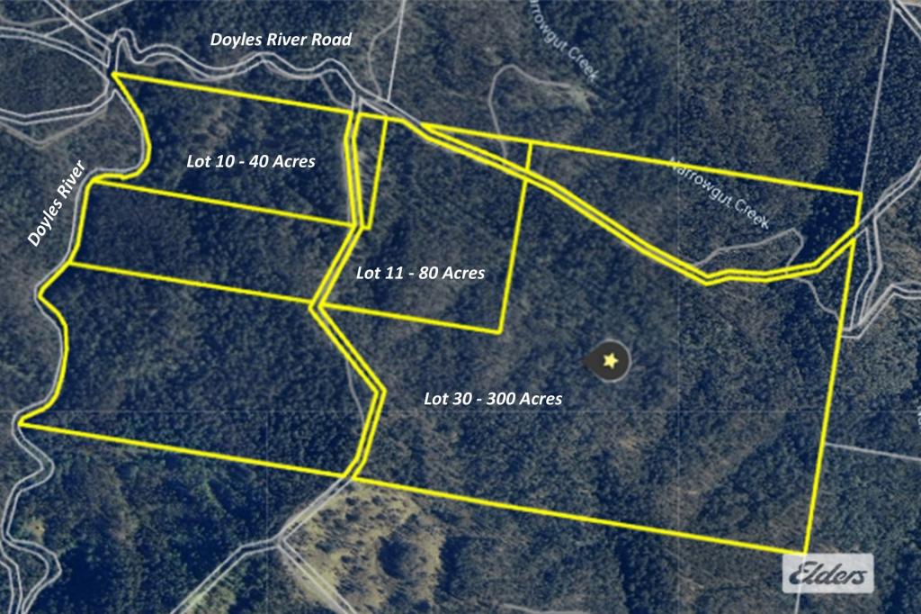 1280 Doyles River Rd, Bulga Forest, NSW 2429