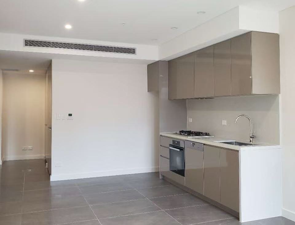 316C/101 WATERLOO RD, MACQUARIE PARK, NSW 2113