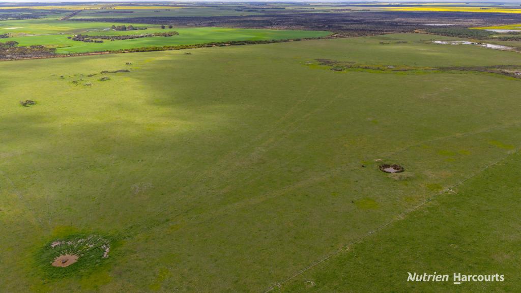 1463 Savage Rd, Neridup, WA 6450