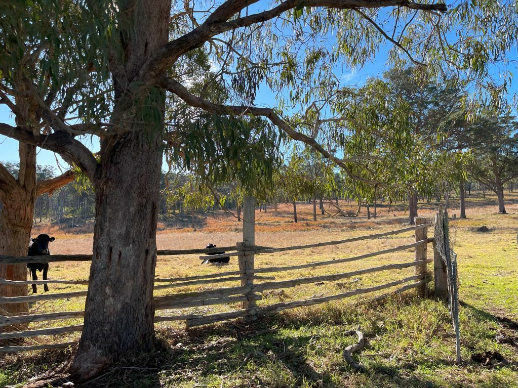 261 Hardy St, Stanthorpe, QLD 4380