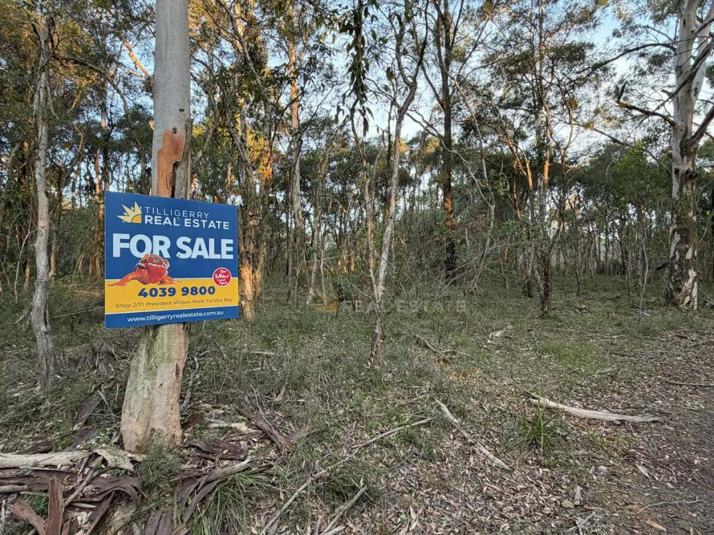 Lot 8 Queen St, The Branch, NSW 2425