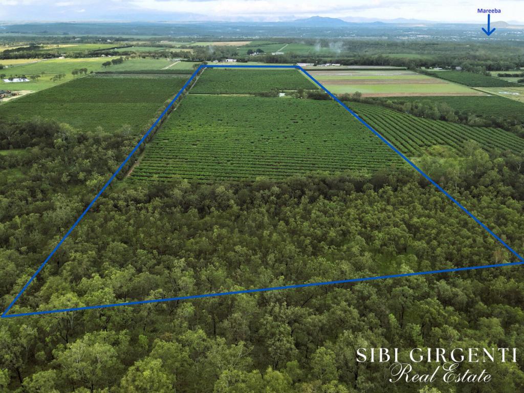 Lot 263/71 Gilmore Rd, Mareeba, QLD 4880