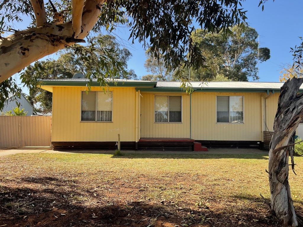 3 DUNNING ST, WAIKERIE, SA 5330