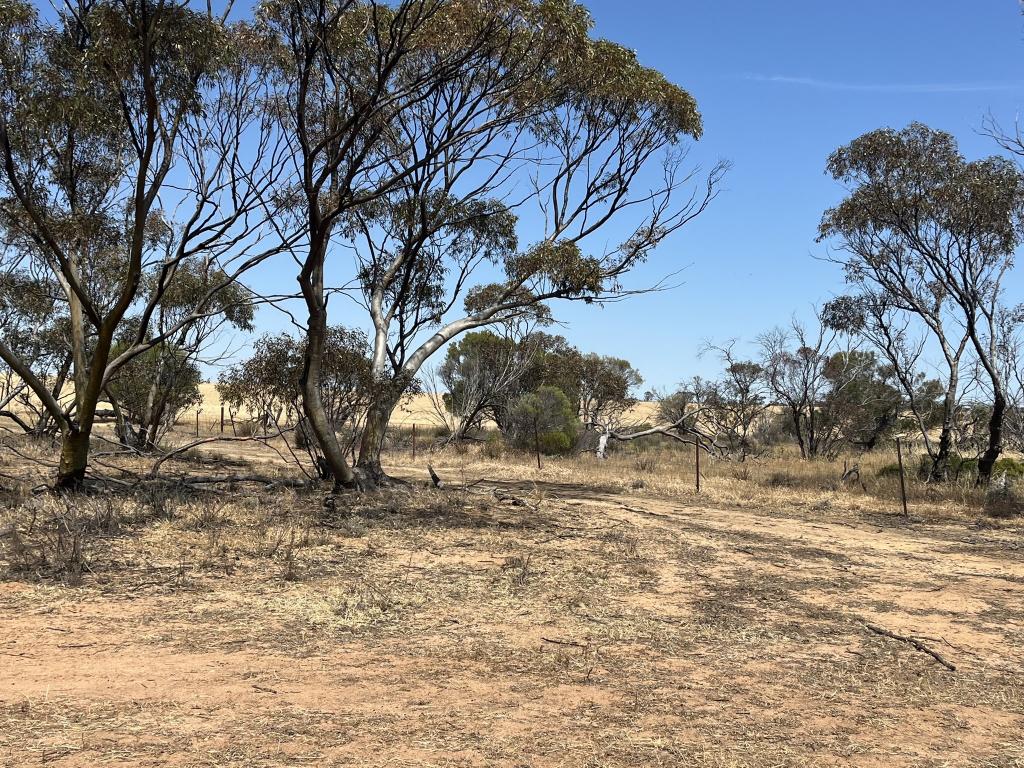 Lot 20248 & 26548 Doherty Rd, South Kununoppin, WA 6489