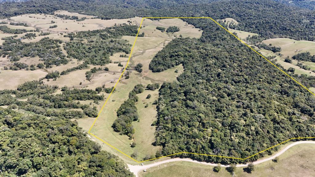 L35 BLACKS RD, DALRYMPLE HEIGHTS, QLD 4757