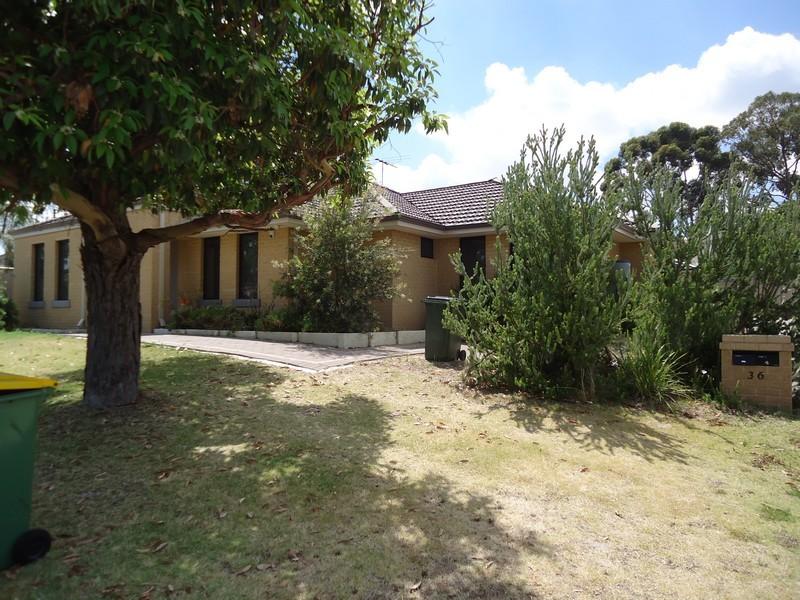 36a Lord St, Bentley, WA 6102