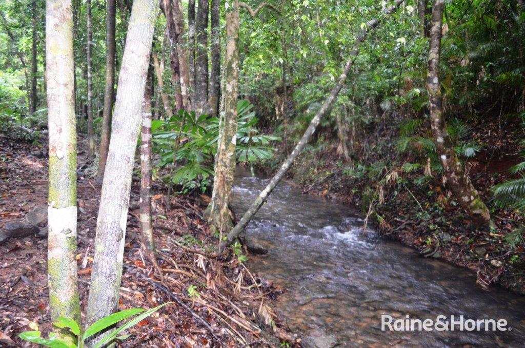 64 Silver Ash Road Cow Bay, Daintree, QLD 4873
