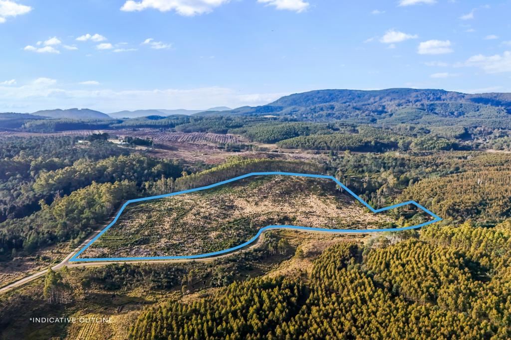 277 Diddleum Rd, Tayene, TAS 7259