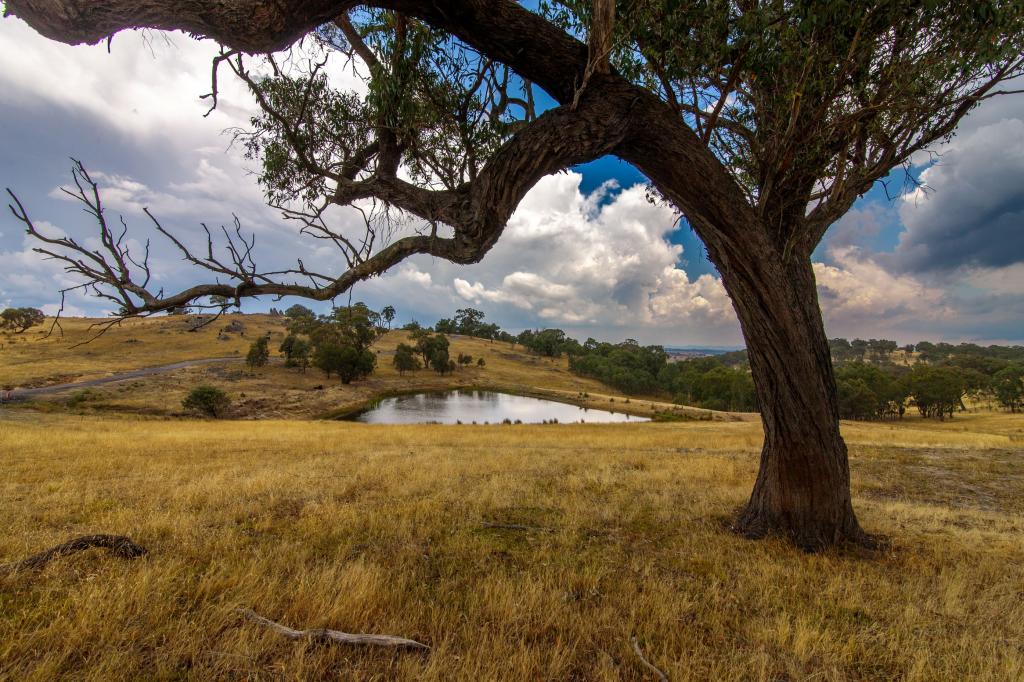 2400 Sapphire Rd, Wheeo, NSW 2583