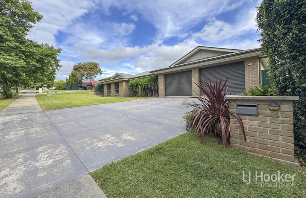 3 HENRY DANGAR DR, MUSWELLBROOK, NSW 2333