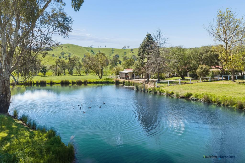 141 U T Creek Rd, Alexandra, VIC 3714