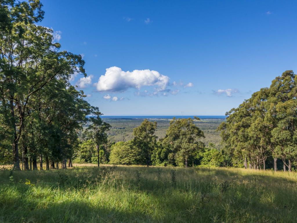 105 Buckombil Mountain Rd, Meerschaum Vale, NSW 2477