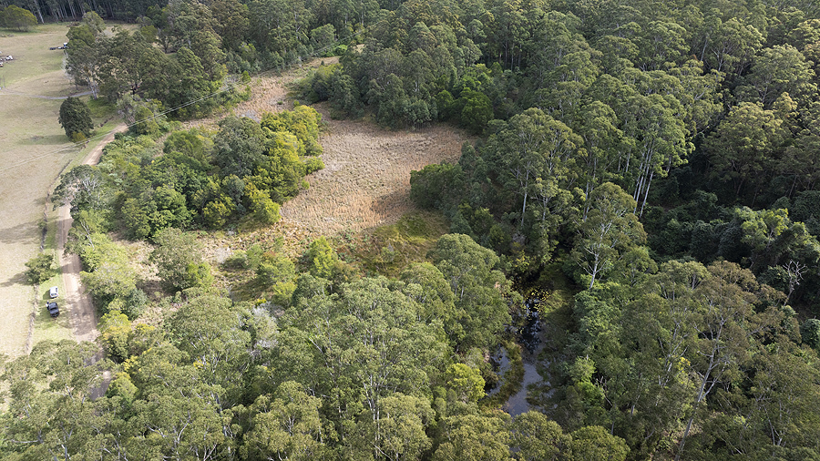 242 Curreeki Creek Rd, Coolongolook, NSW 2423