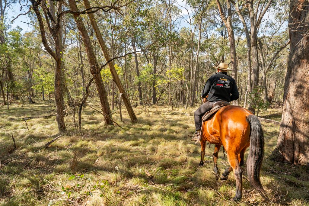 . Firebrace Track, Bullioh, VIC 3700