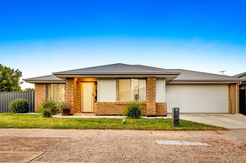 20 Parkdale Lane, Andrews Farm, SA 5114