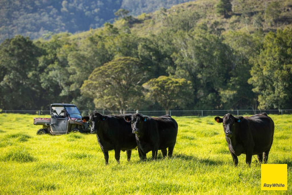 367 Terreel Rd, Wards River, NSW 2422