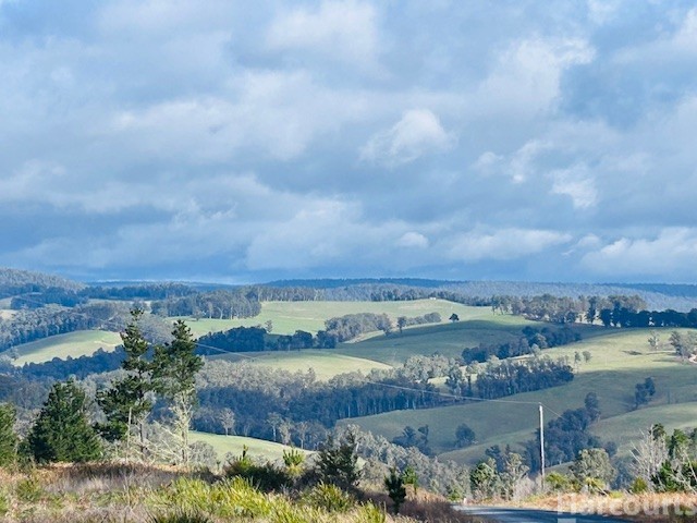 208 Blomfield Rd, Yarrowitch, NSW 2354