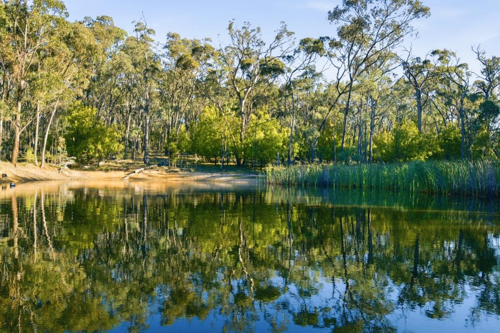 172 Johnstons Rd, Barjarg, VIC 3723