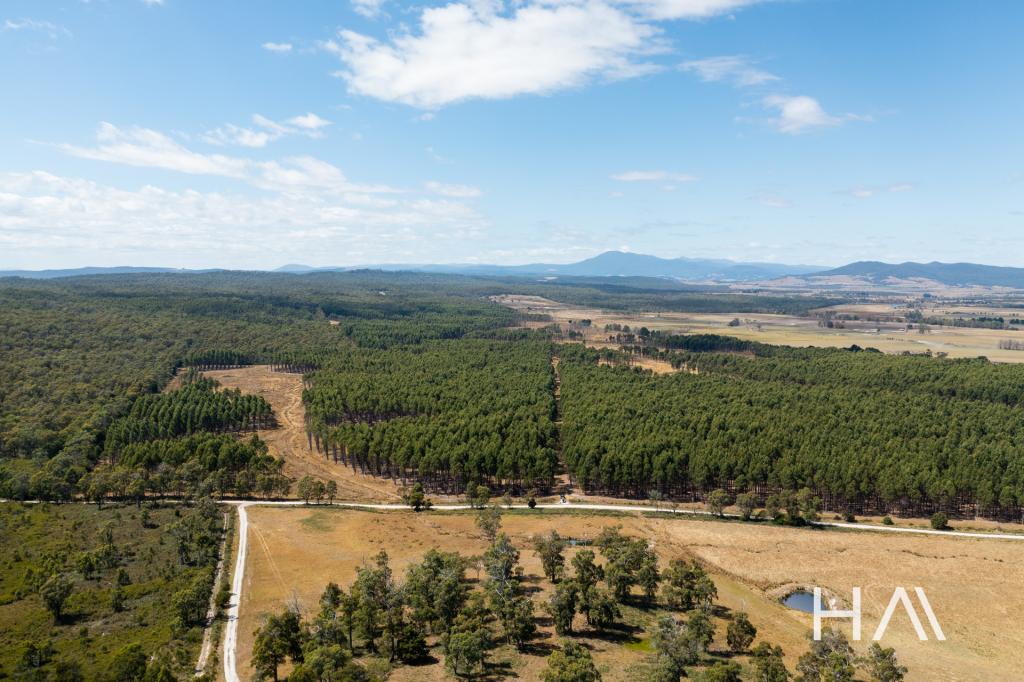 1306 Dalrymple Rd, Mount Direction, TAS 7252