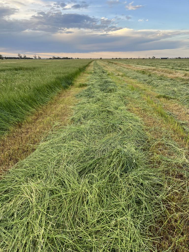 8499 Murray Valley Hwy, Kerang East, VIC 3579