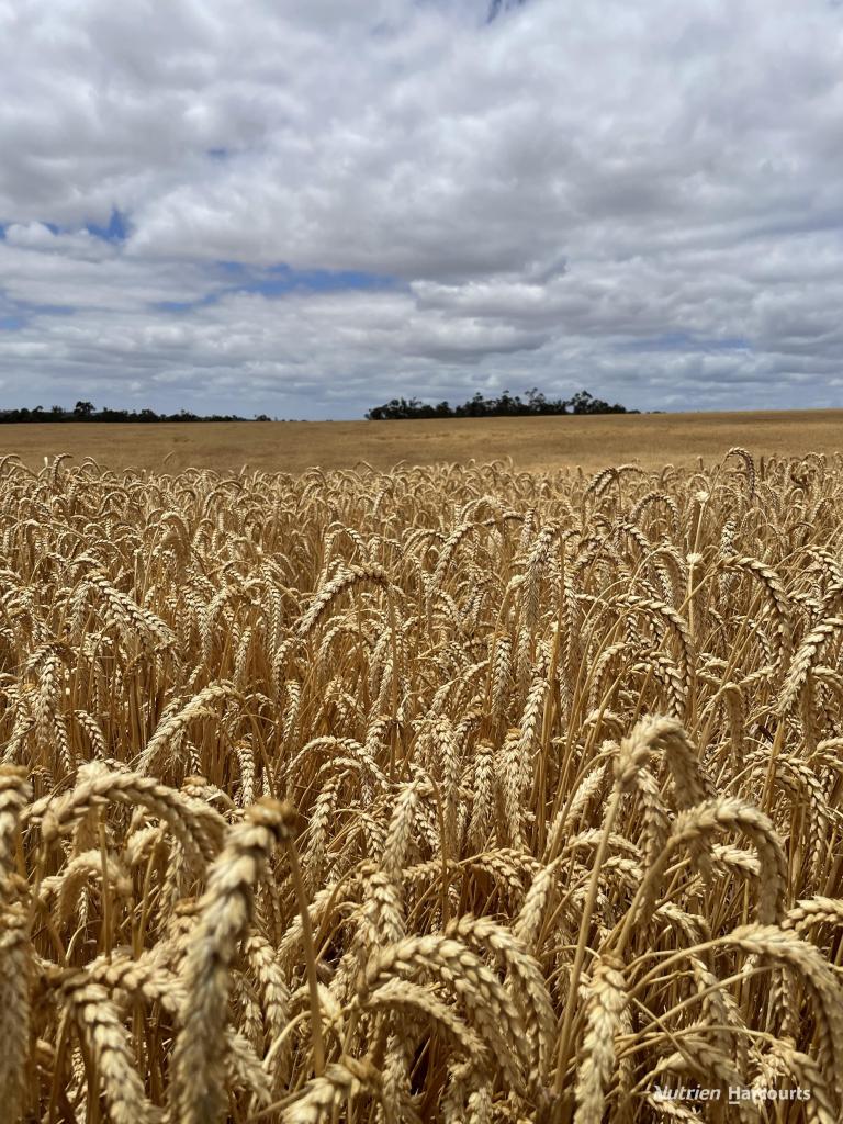 175 Racecourse Rd, Frankland River, WA 6396