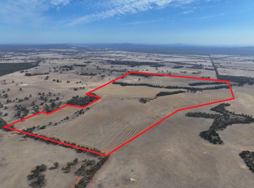 Lot 8 Dunolly-Orville Rd, Murphys Creek, VIC 3551