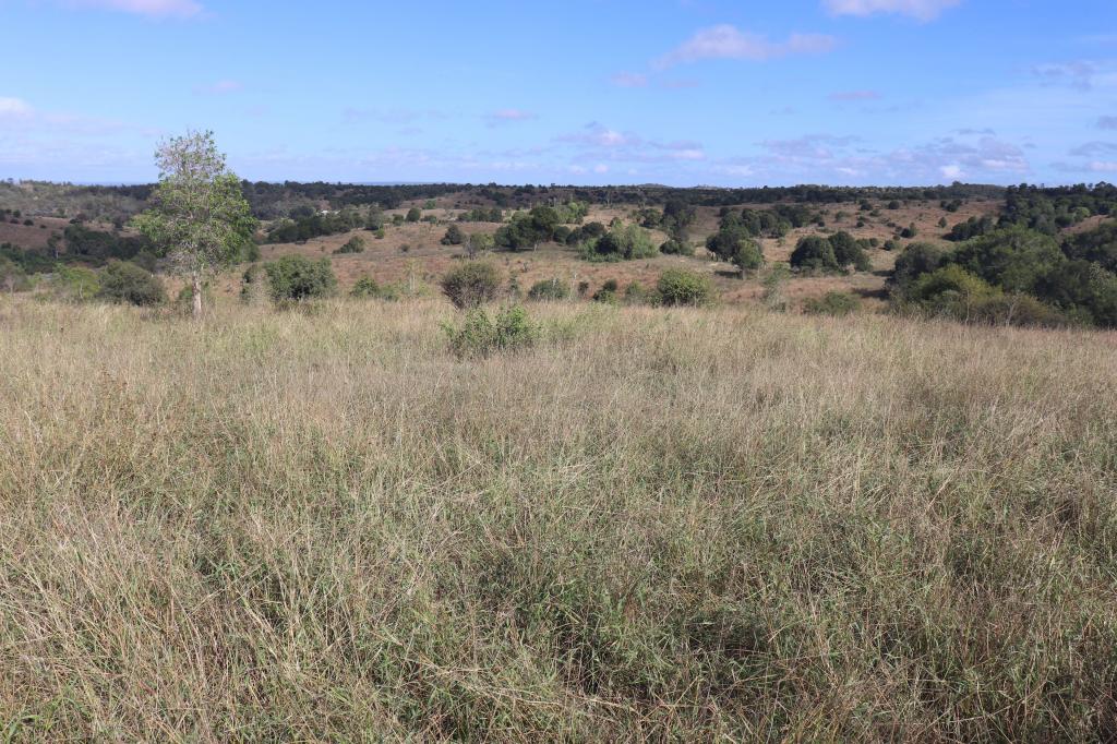 20963 Burnett Hwy, Mundubbera, QLD 4626