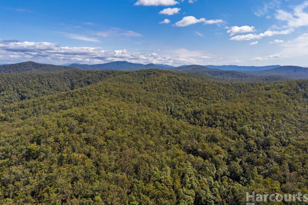 LOT 1/DP 871764 CLAREFIELD DUNGAY CREEK RD, MARLO MERRICAN, NSW 2441