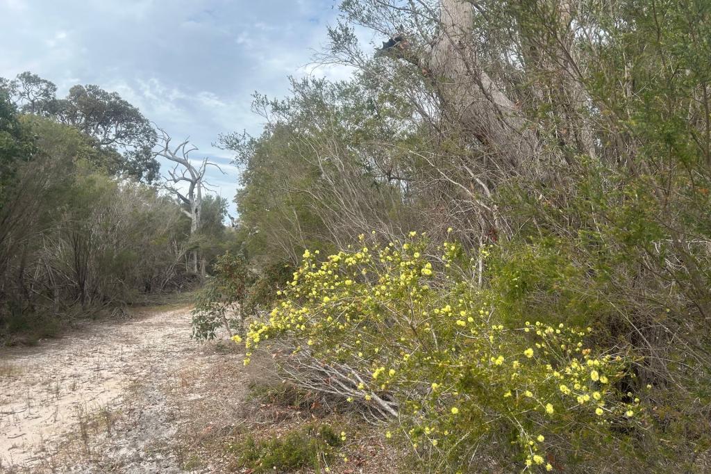 31 Silvereye Rd, North Boyanup, WA 6237
