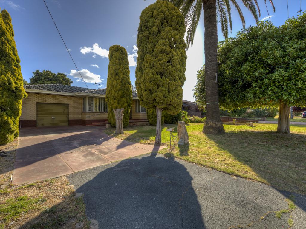 17 Mclachlan Way, Belmont, WA 6104