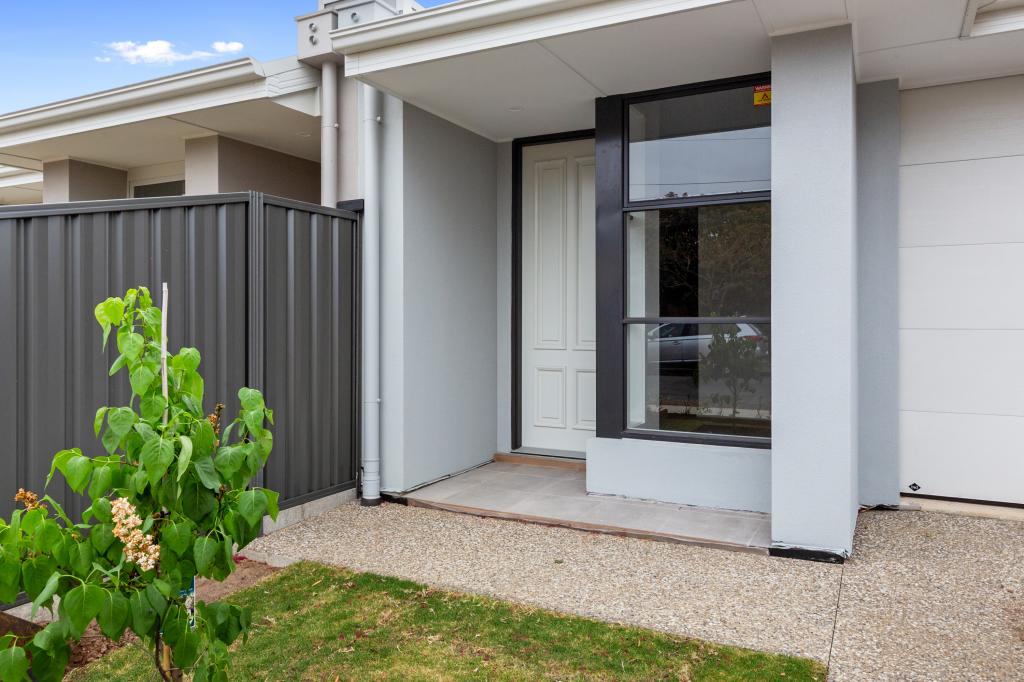 44b Jervois St, South Plympton, SA 5038