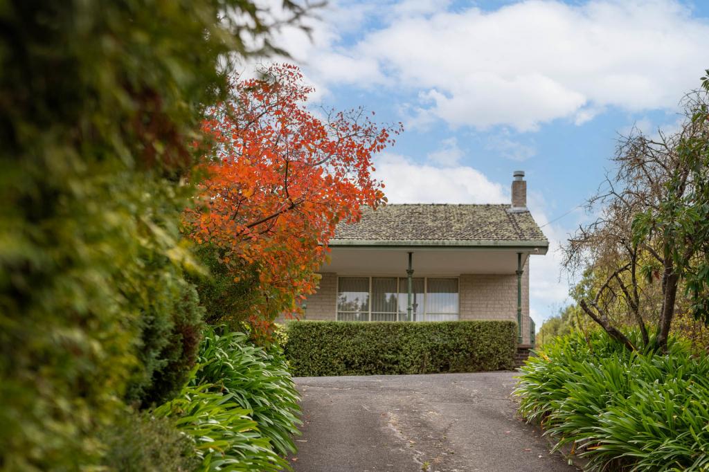 17 Oakwood Dr, Ambleside, TAS 7310