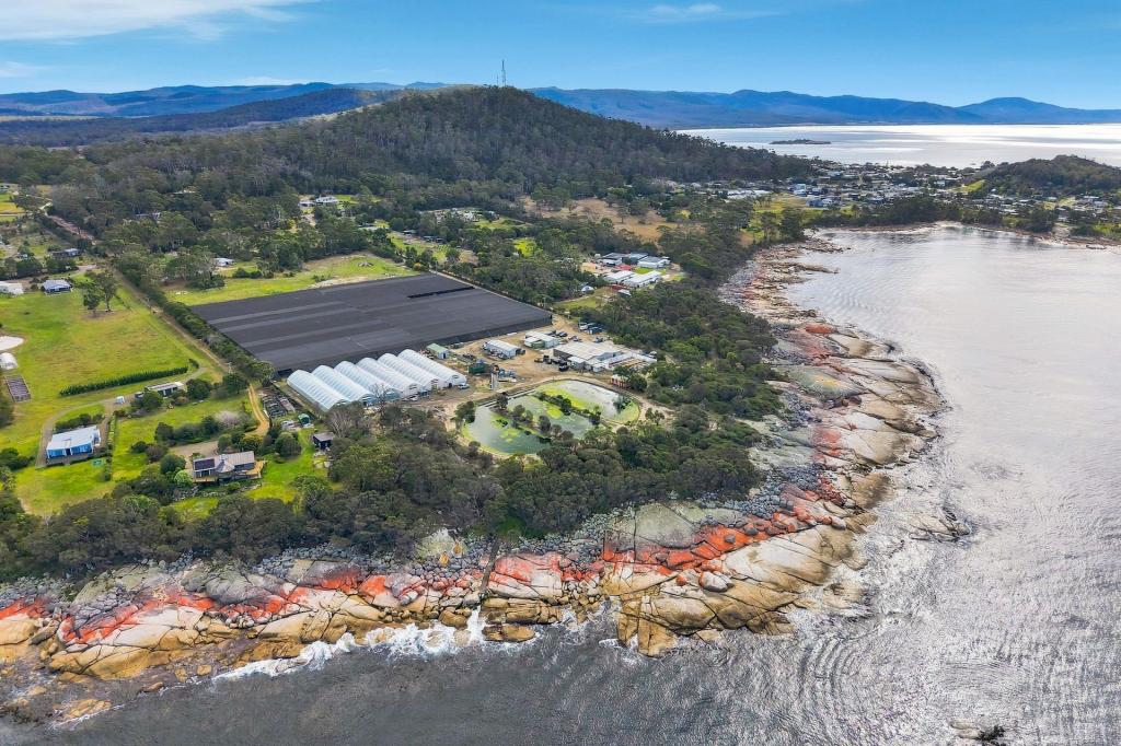 23 Harveys Farm Rd, Bicheno, TAS 7215