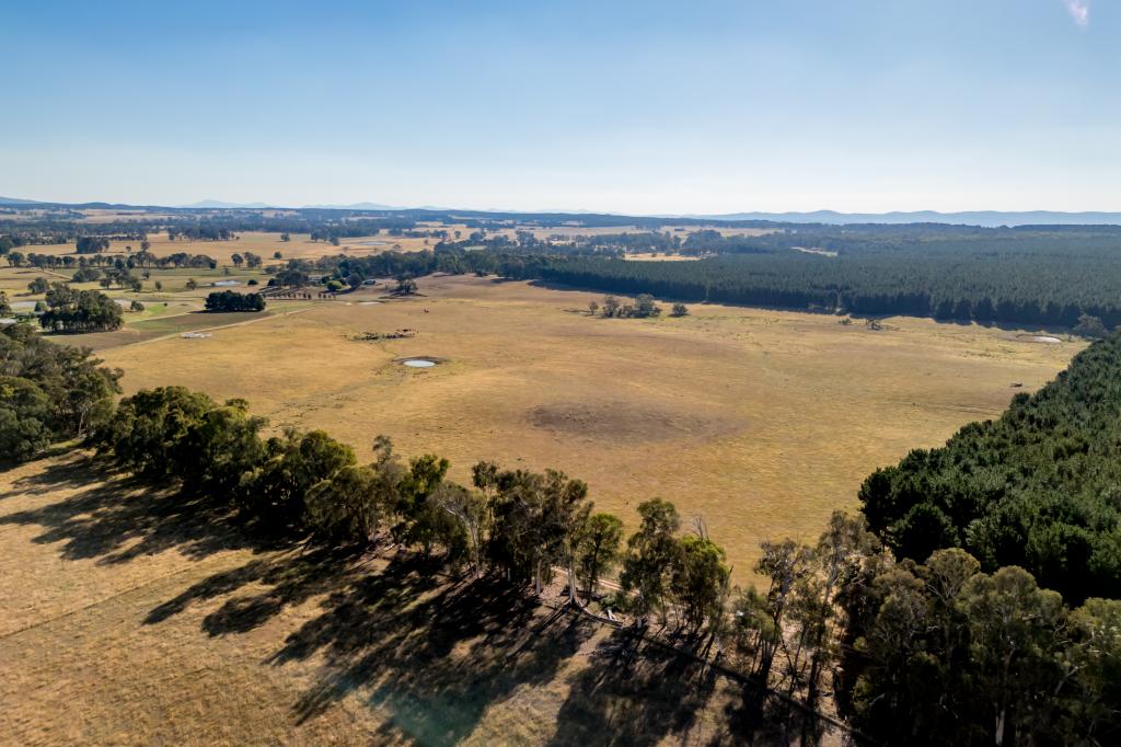 Lot 13 Rosewood Hills Rd, Tumbarumba, NSW 2653