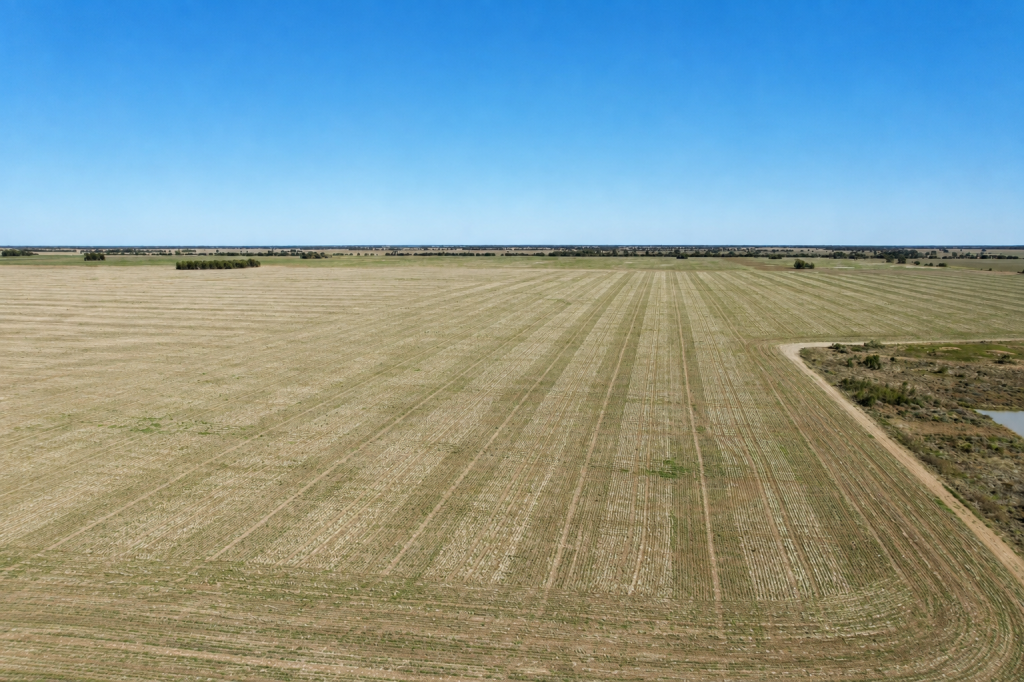 1522 TULLAGRIE RD, TARA, QLD 4421