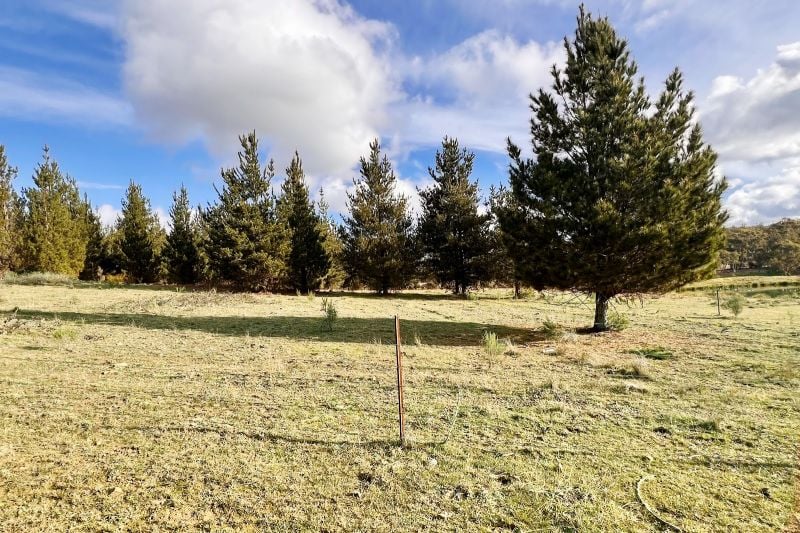 3814 Oallen Ford Rd, Windellama, NSW 2580