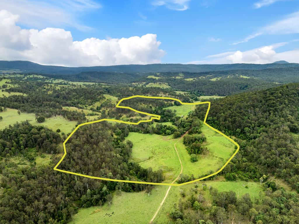 45 Murphys Rd, Bean Creek, NSW 2469