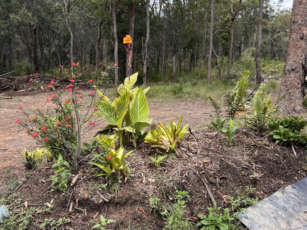 1284 Tableland Rd, Mount Maria, QLD 4674
