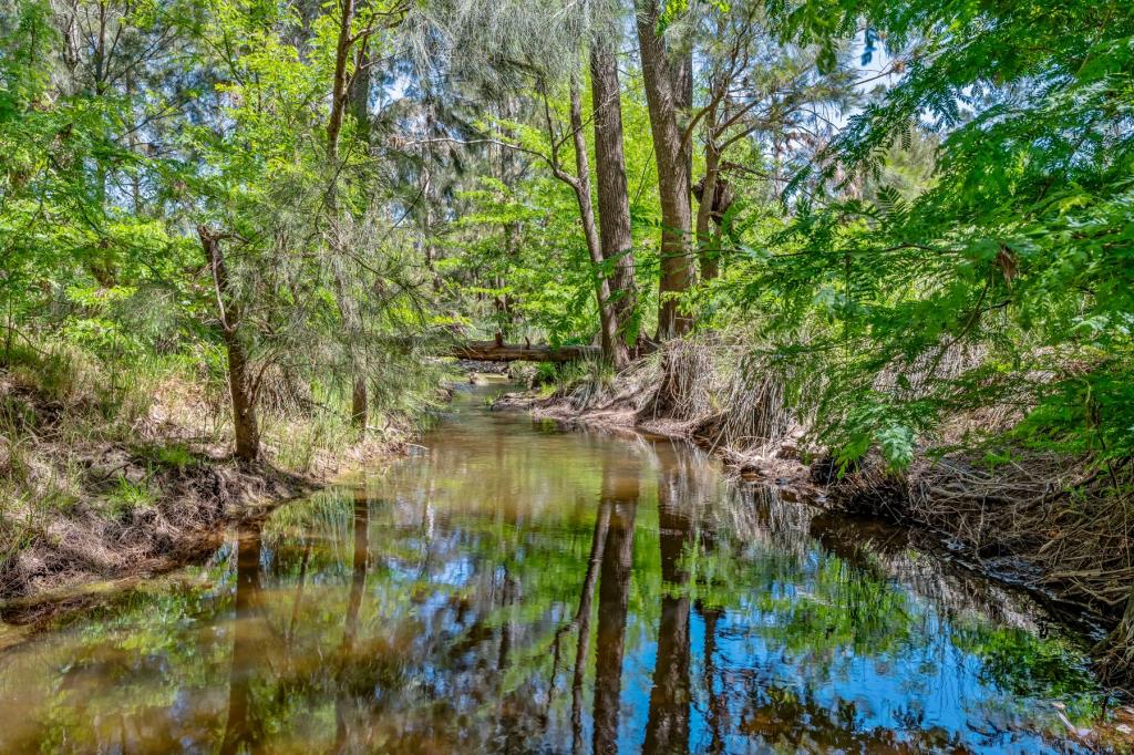 101 Mitchells Flat Road, Mitchells Flat,, Singleton, NSW 2330