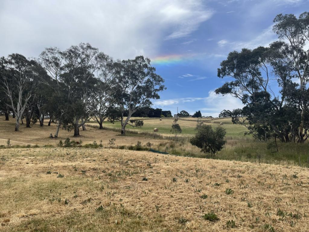 14 Redwood Dr, Mount Barker, SA 5251