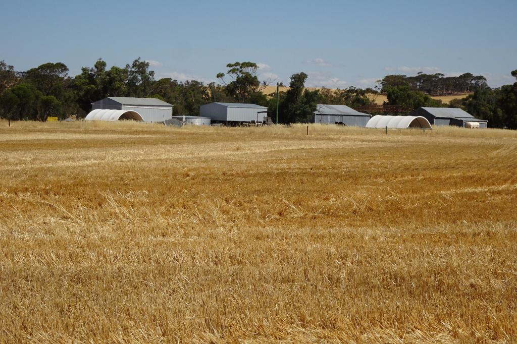 747 Yenellin Rd, East Pingelly, WA 6308