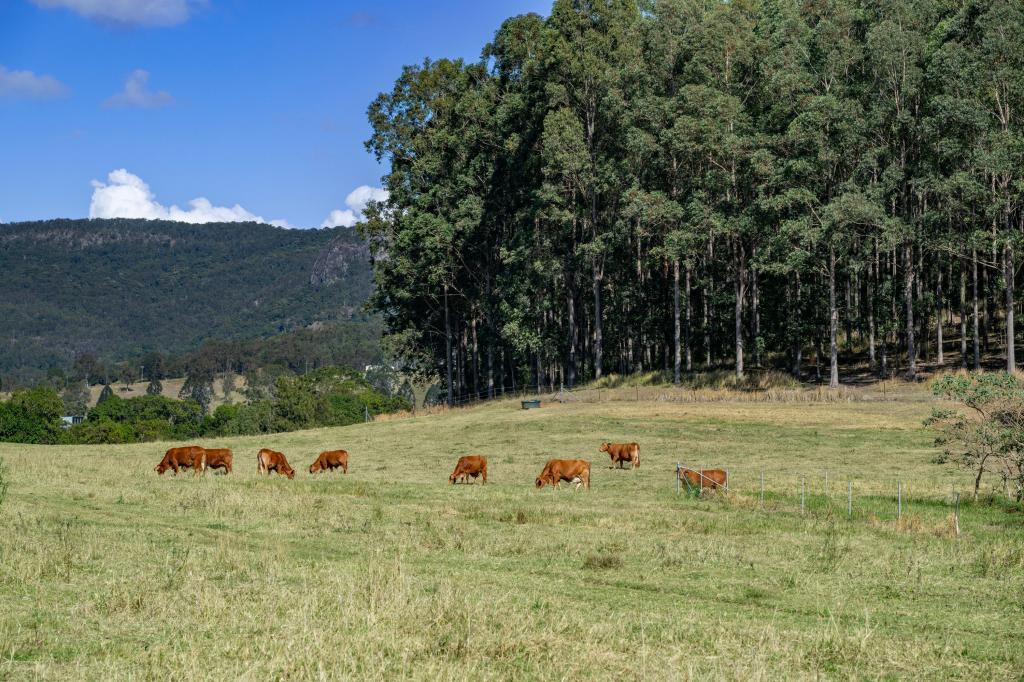 0 SPILLER RD, MOY POCKET, QLD 4574