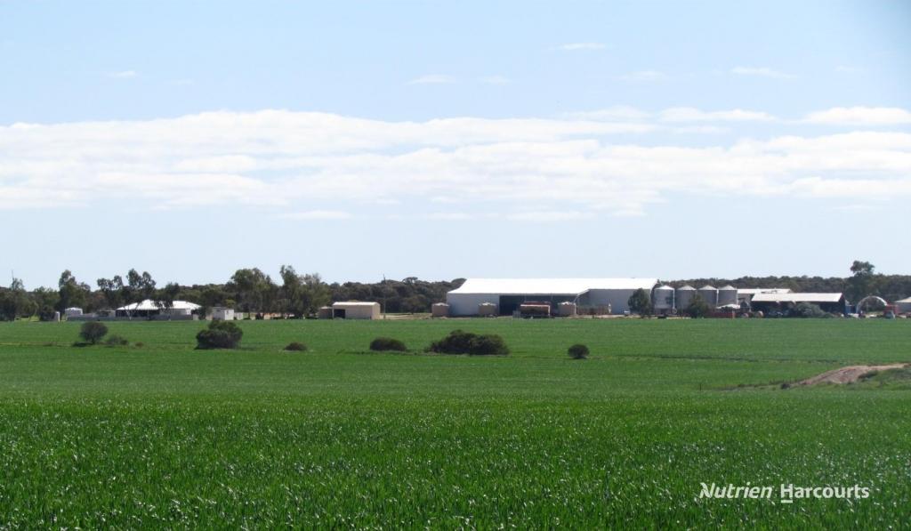 1518 Forte Rd, Latham, WA 6616