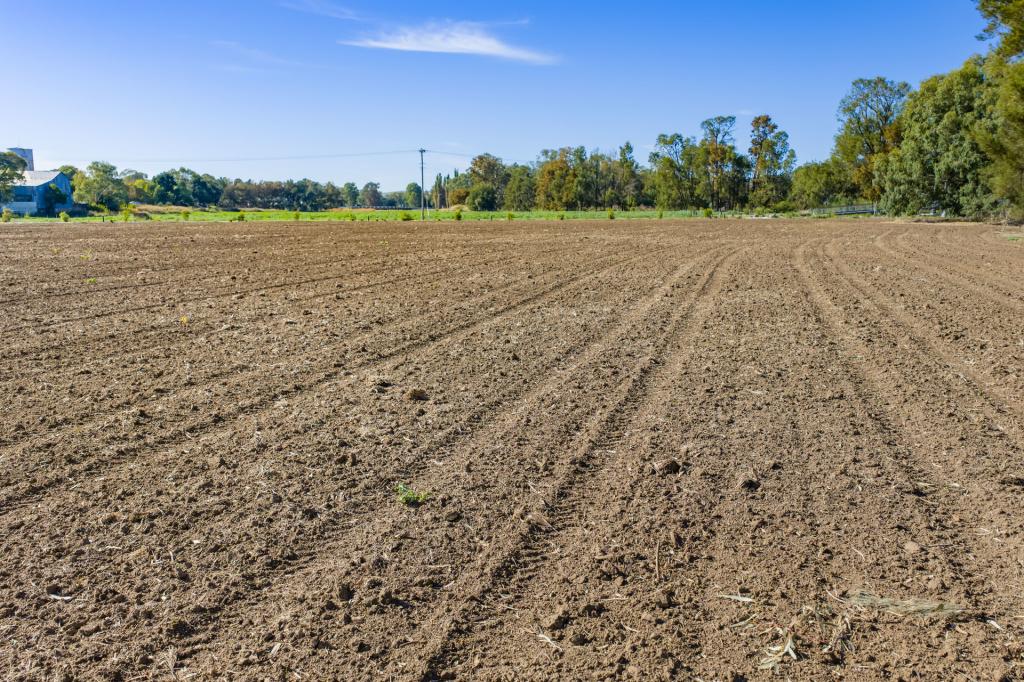 Lot 100 Gaskill St, Canowindra, NSW 2804