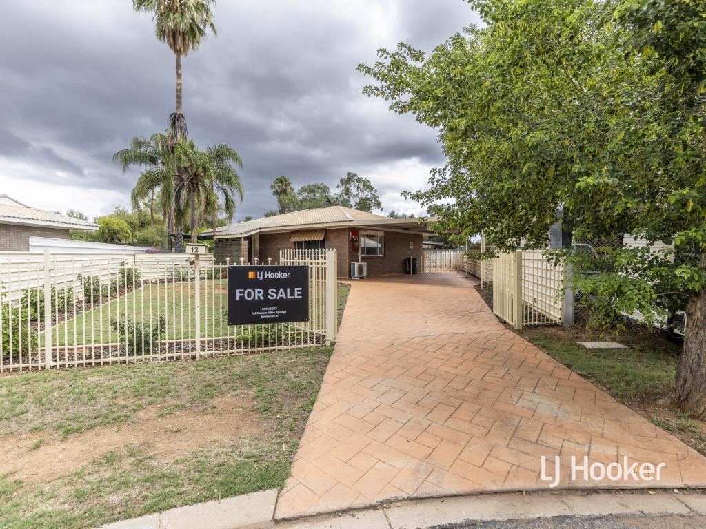 12 Holtermann Ct, Larapinta, NT 0875