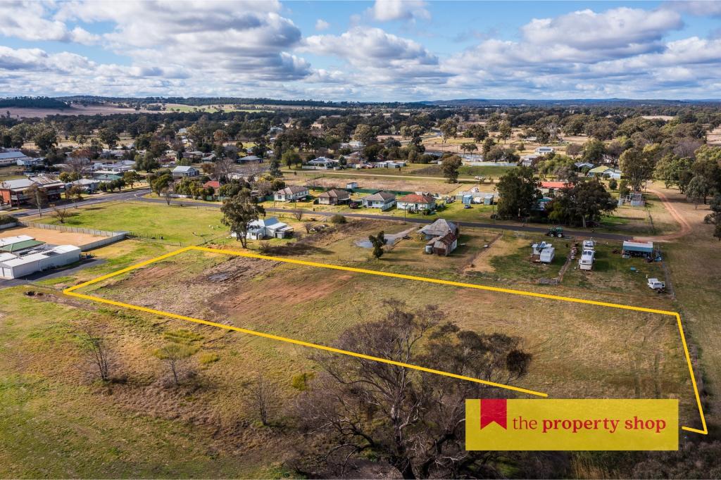 10 Brambil St, Mendooran, NSW 2842