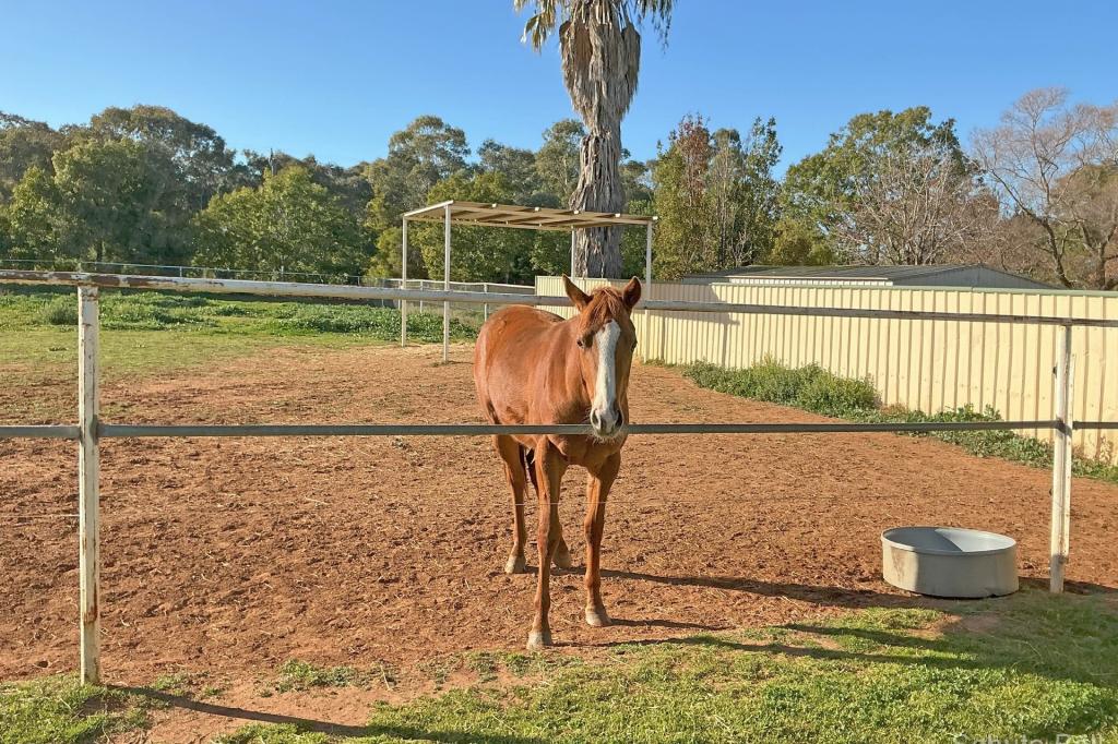 345 Dappo Rd, Narromine, NSW 2821