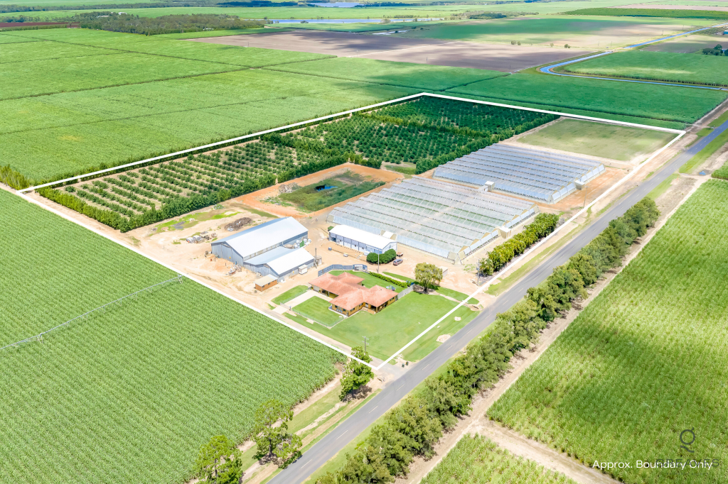 345 Wises Rd, Alloway, QLD 4670